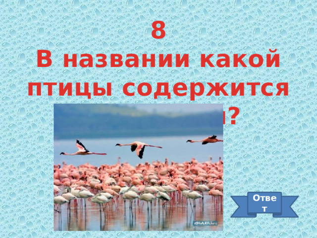 8 В названии какой птицы содержится профессия? Ответ 