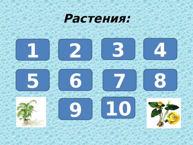 Растения: 3 4 1 2 6 8 5 7 10 9 