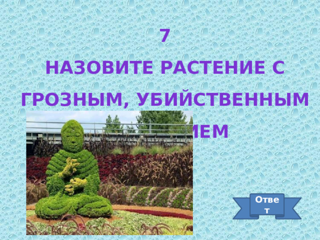 7 Назовите растение с грозным, убийственным названием Ответ 