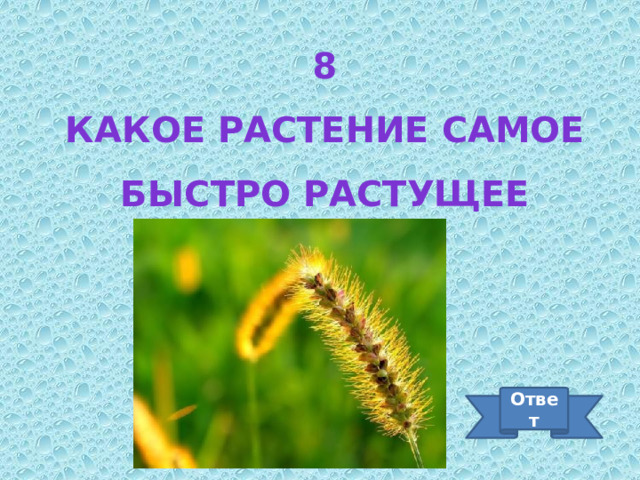 8 Какое растение самое быстро растущее Ответ 