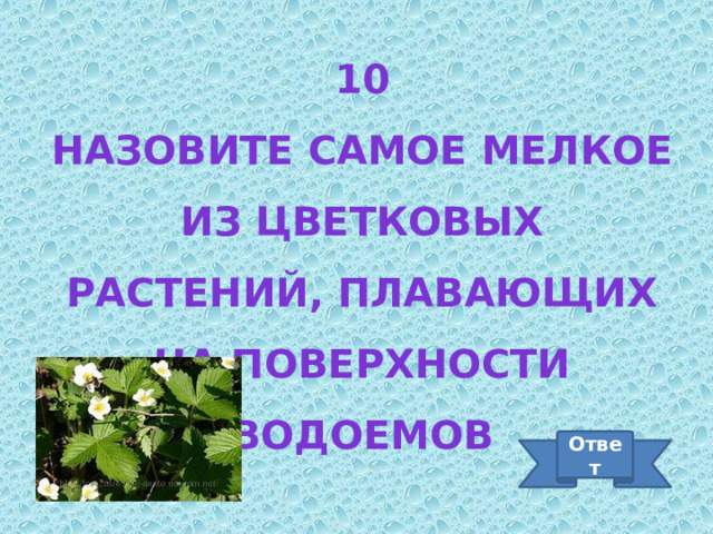 10 Назовите самое мелкое из цветковых растений, плавающих на поверхности водоемов Ответ 