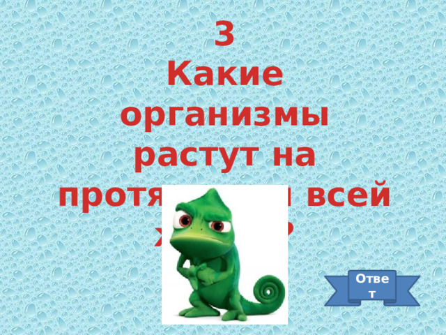 3 Какие организмы растут на протяжении всей жизни? Ответ 