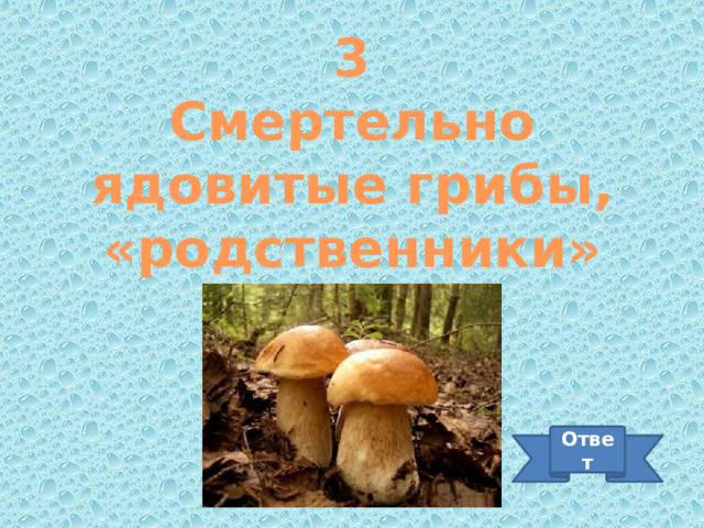 3 Смертельно ядовитые грибы, «родственники» мухомора Ответ 