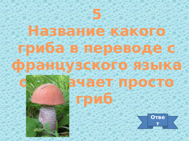 5 Название какого гриба в переводе с французского языка обозначает просто гриб Ответ 