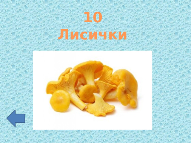 10 Лисички 