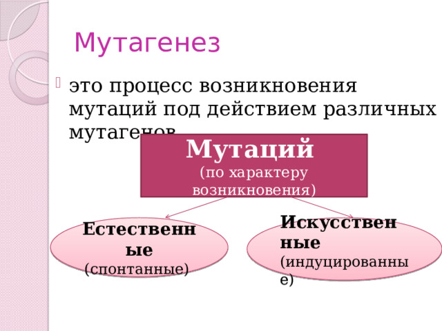 Мутагенез это процесс возникновения мутаций под действием различных мутагенов. Мутаций (по характеру возникновения) Естественные Искусственные  (индуцированные) (спонтанные) 