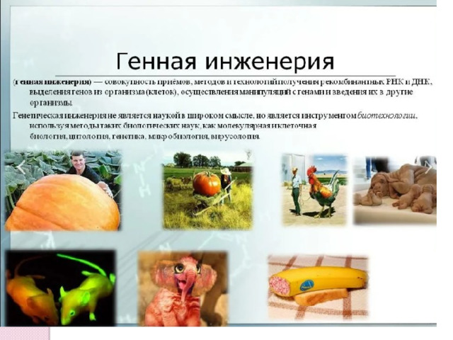 Презентация "Биотехнология. Генная инженерия.