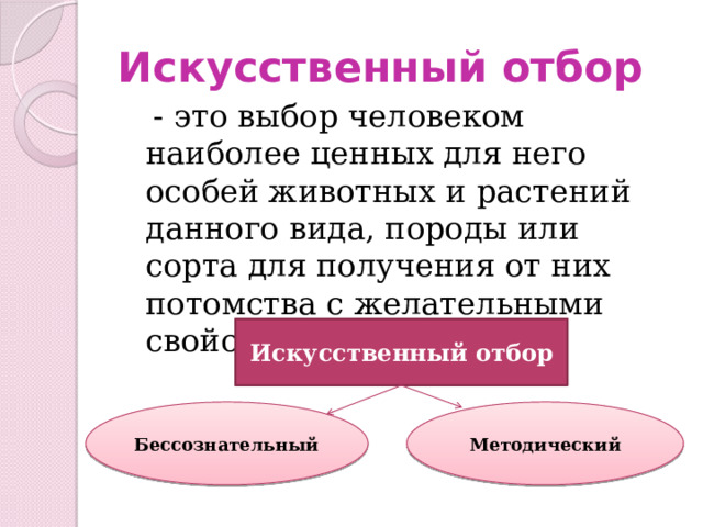 Искусственный отбор Искусственный отбор  - это выбор человеком наиболее ценных для него особей животных и растений данного вида, породы или сорта для получения от них потомства с желательными свойствами.  Методический Бессознательный 