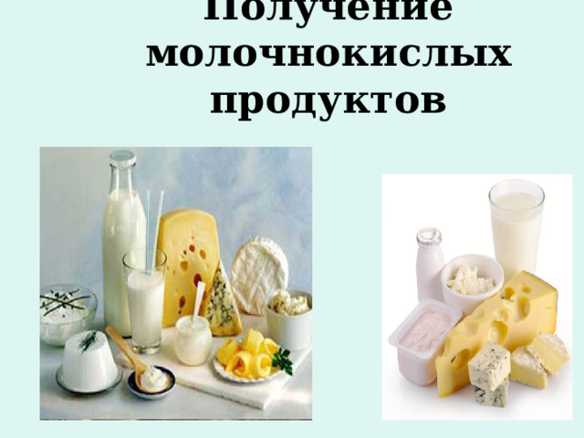 Получение молочнокислых продуктов 