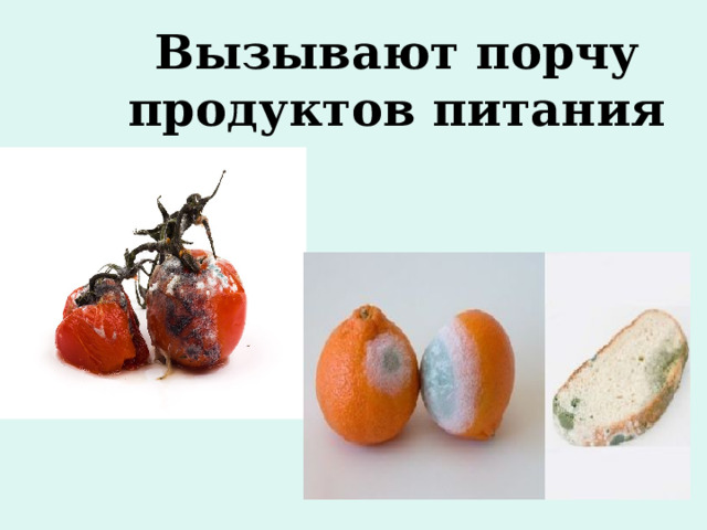 Вызывают порчу продуктов питания 