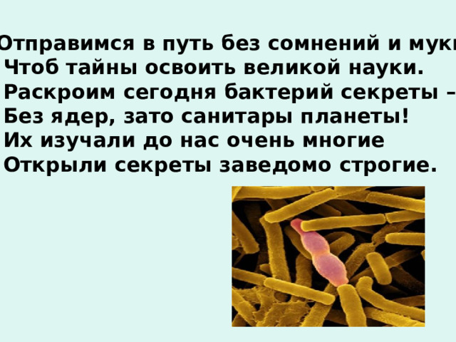 Отправимся в путь без сомнений и муки,  Чтоб тайны освоить великой науки.  Раскроим сегодня бактерий секреты –  Без ядер, зато санитары планеты!  Их изучали до нас очень многие  Открыли секреты заведомо строгие. 