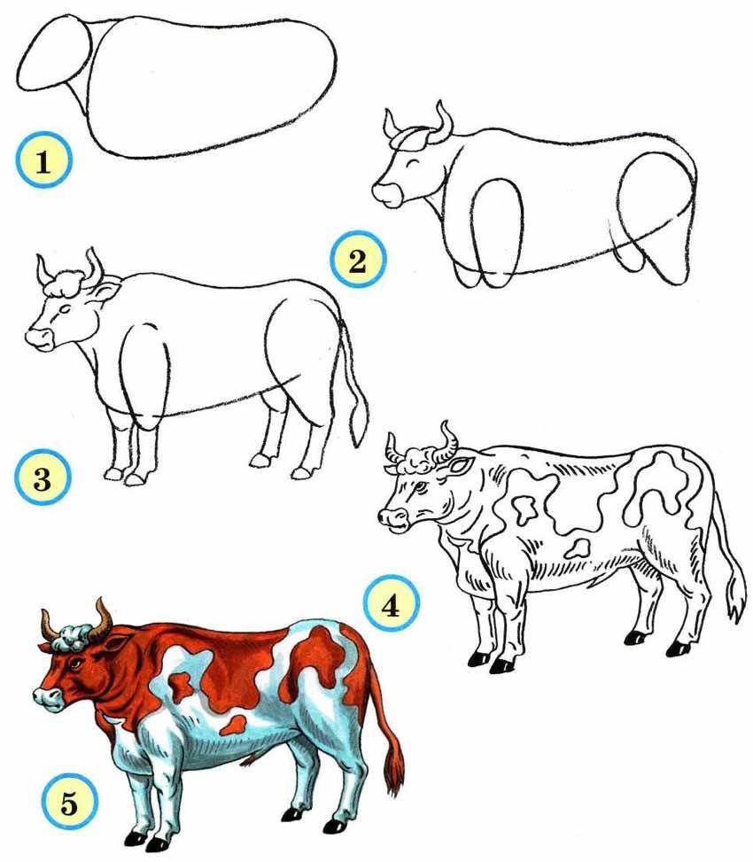 Схема рисования домашних животных
