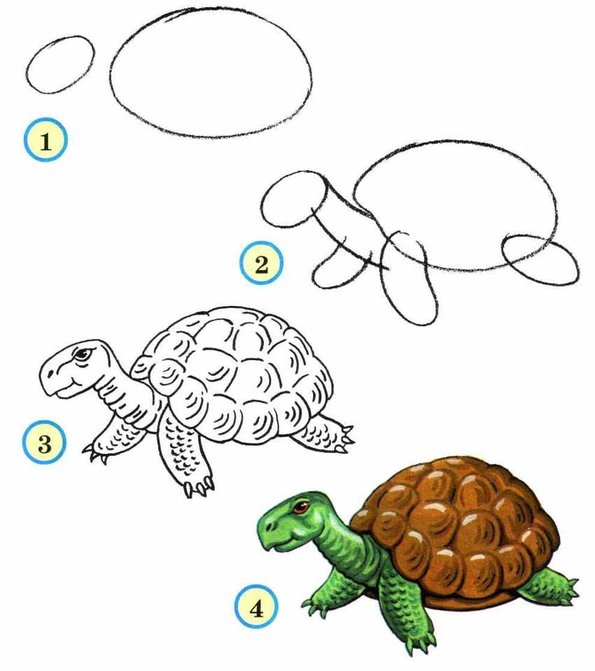 Рисунки животных пошагово