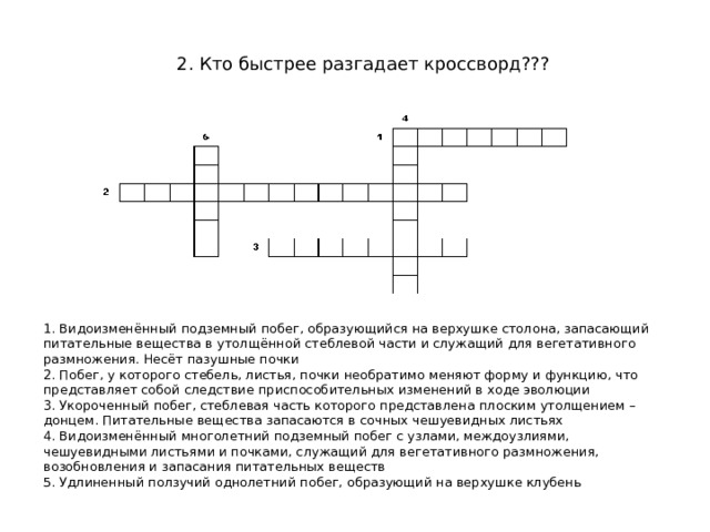 2. Кто быстрее разгадает кроссворд??? 1. Видоизменённый подземный побег, образующийся на верхушке столона, запасающий питательные вещества в утолщённой стеблевой части и служащий для вегетативного размножения. Несёт пазушные почки 2. Побег, у которого стебель, листья, почки необратимо меняют форму и функцию, что представляет собой следствие приспособительных изменений в ходе эволюции 3. Укороченный побег, стеблевая часть которого представлена плоским утолщением – донцем. Питательные вещества запасаются в сочных чешуевидных листьях 4. Видоизменённый многолетний подземный побег с узлами, междоузлиями, чешуевидными листьями и почками, служащий для вегетативного размножения, возобновления и запасания питательных веществ 5. Удлиненный ползучий однолетний побег, образующий на верхушке клубень  2. Кто быстрее разгадает кроссворд??? Учитель: задает вопросы Ученики: разгадывают кроссворд, кто отгадал, тот записал правильное ответ в кроссворде на интерактивной доске.  
