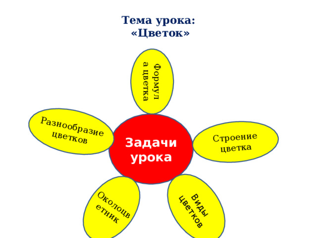 Виды цветков Строение цветка Околоцветник Разнообразие цветков Формула цветка Тема урока:  « Цветок » Задачи урока Учитель: Давайте попробуем сформулировать задачи нашего урока. Ученики: пытаются сформулировать задачи урока.   8 