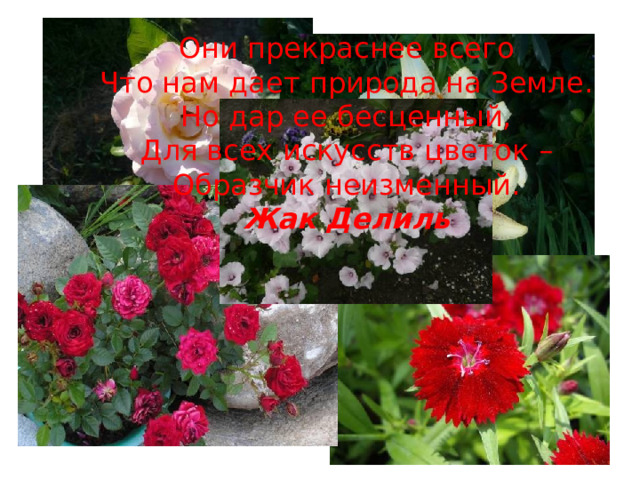        Они прекраснее всего  Что нам дает природа на Земле.  Но дар ее бесценный,  Для всех искусств цветок –  Образчик неизменный. Жак Делиль Учитель:  Цветы возникли задолго до появления человека. Растения изобрели цветок не для того, чтобы вызывать у нас чувство прекрасного, у них для этого были другие цели, направленные на выживание. И все же при виде цветов мы испытываем чувство прекрасного, мы восхищаемся красотой цветов.    