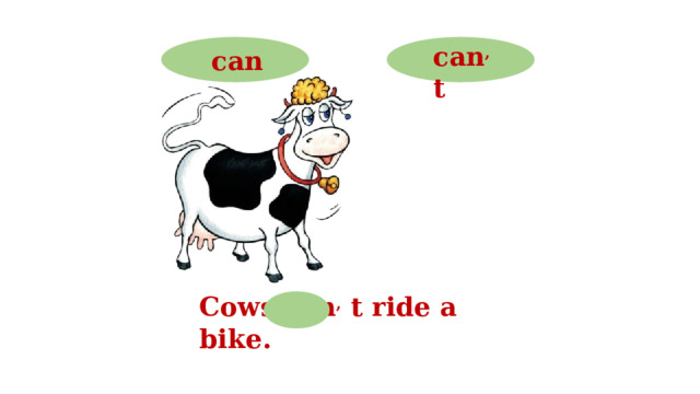 can , t can Cows can , t ride a bike.  
