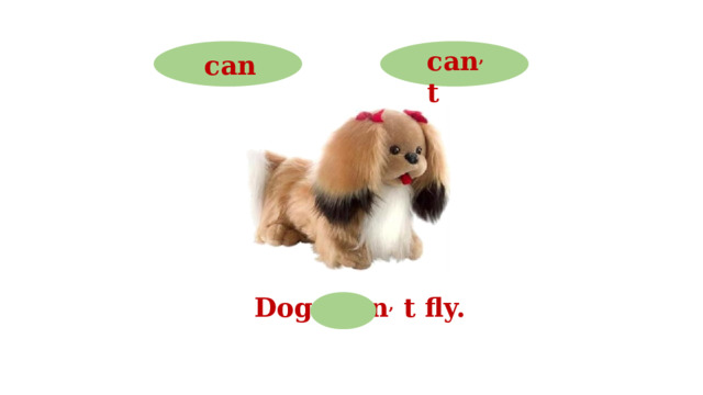can , t can Dogs can , t fly.  