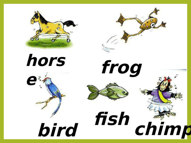horse frog fish chimp bird 