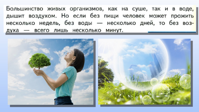 Презентация по окружающему миру (УМК "Планета знаний" 3 класс) на тему ...
