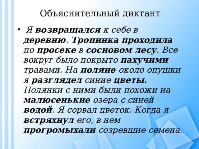 Объяснительный диктант  Я возвращался к себе в деревню . Тропинка проходила по просеке в сосновом лесу . Все вокруг было покрыто пахучими травами. На поляне около опушки я разглядел синие цветы. Полянки с ними были похожи на малюсенькие озера с синей водой . Я сорвал цветок. Когда я встряхнул его, в нем прогромыхали созревшие семена. 