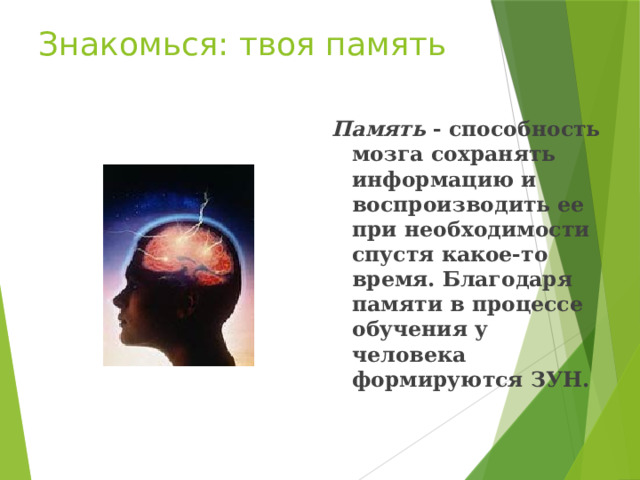 Знакомься: твоя память Память - способность мозга сохранять информацию и воспроизводить ее при необходимости спустя какое-то время. Благодаря памяти в процессе обучения у человека формируются ЗУН.    