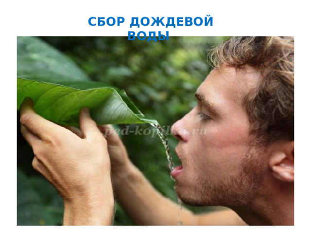 СБОР ДОЖДЕВОЙ ВОДЫ 