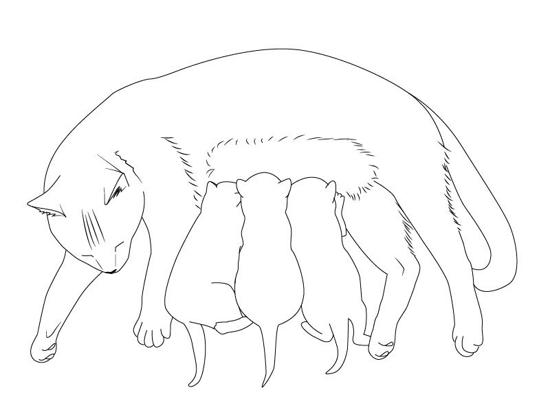 Кошка с котятами рисунок