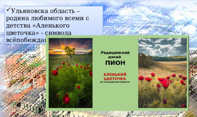 Ульяновска область – родина любимого всеми с детства «Аленького цветочка» - символа всёпобеждающей любви. 