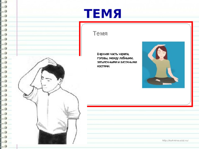 ТЕМЯ 