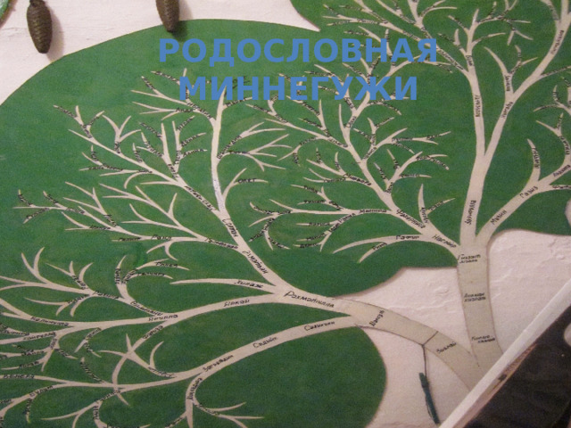 Родословная миннегужи 