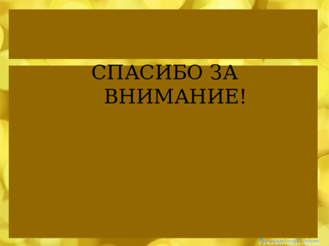 СПАСИБО ЗА ВНИМАНИЕ! 