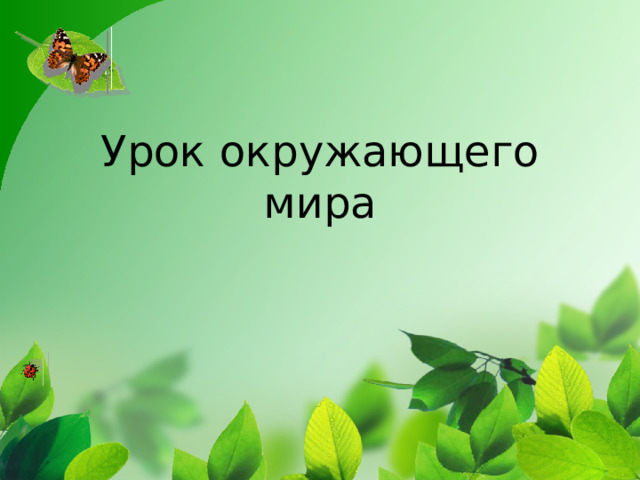 Урок окружающего мира   