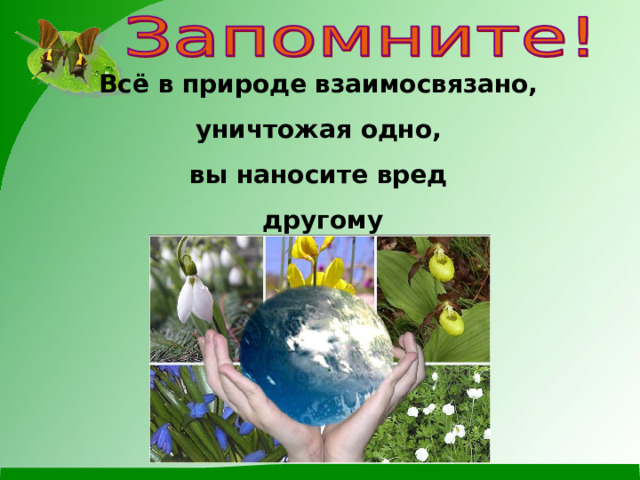 Всё в природе взаимосвязано, уничтожая одно, вы наносите вред другому 