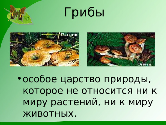  Грибы     особое царство природы, которое не относится ни к миру растений, ни к миру животных. 