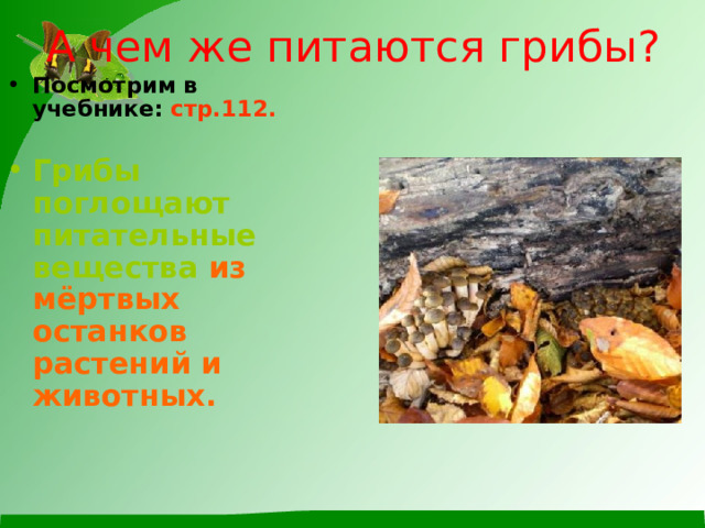 А чем же питаются грибы? Посмотрим в учебнике: стр.112.  Грибы поглощают питательные вещества  из мёртвых останков растений и животных.  