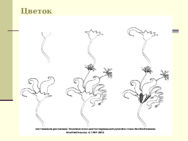 Цветок 