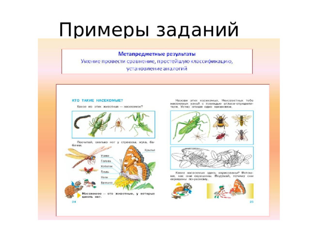 Умения окружающий мир. Метапредметные задания по биологии. Метапредметные задания по математике. Метапредметные задания для начальной школы. Задания по метапредметным навыкам.