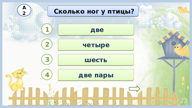 А2  Сколько ног у птицы?  две 1 2 четыре шесть 3 4 две пары 
