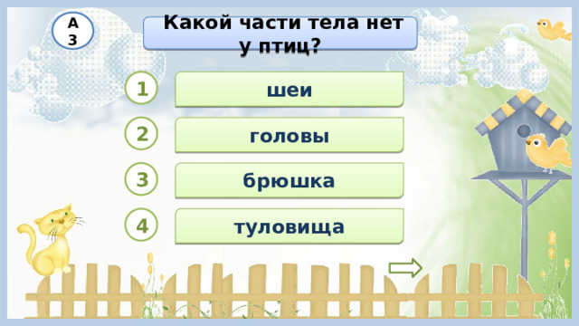 А3  Какой части тела нет у птиц? 1 шеи 2 головы брюшка 3 4 туловища 