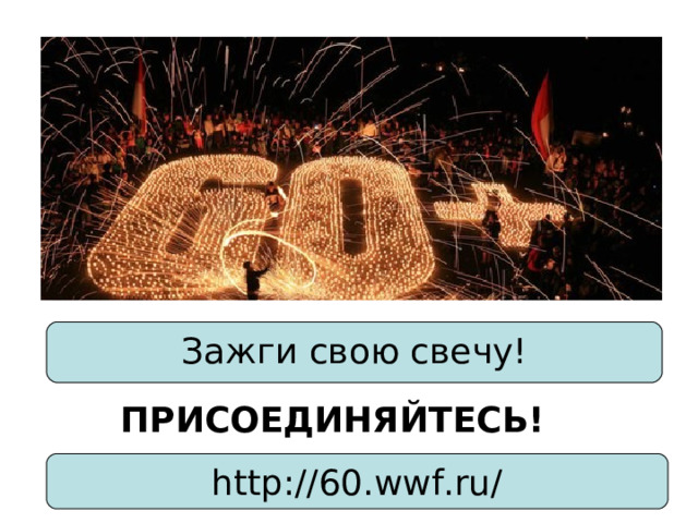 Зажги свою свечу! ПРИСОЕДИНЯЙТЕСЬ! http://60.wwf.ru/ 