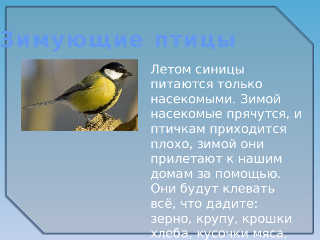 Зимующие птицы Летом синицы питаются только насекомыми. Зимой насекомые прячутся, и птичкам приходится плохо, зимой они прилетают к нашим домам за помощью. Они будут клевать всё, что дадите: зерно, крупу, крошки хлеба, кусочки мяса, несолёного сала. 