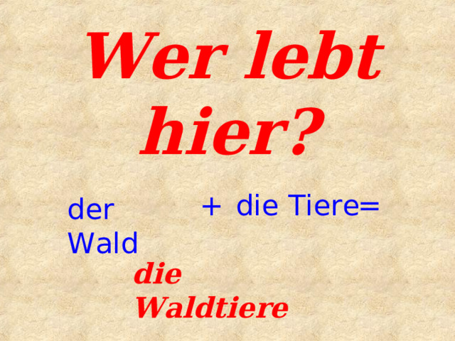 Wer lebt hier? + die Tiere = der Wald die Waldtiere 