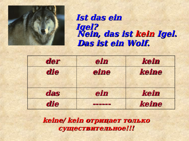 Ist das ein Igel?  Nein, das ist kein Igel. Das ist ein Wolf.  der ein die  kein eine das ein die keine kein ------ keine keine/ kein отрицает только существительное!!! 