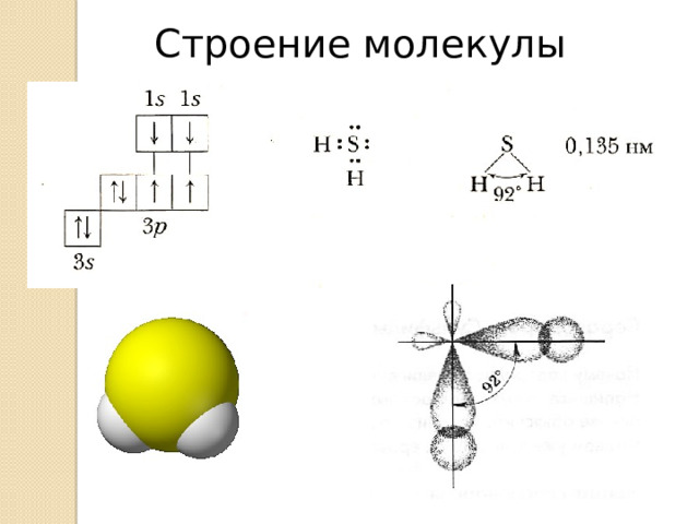 Строение молекулы 