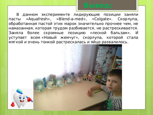 Вывод:  В данном эксперименте лидирующие позиции заняли пасты «Aquafresh», «Blend-a-med», «Colgate». Скорлупа, обработанная пастой этих марок значительно прочнее чем, не намазанная, которая трудом разбивается, не растрескивается. Заняла более скромные позицию «лесной бальзам». И уступает всем «Новый жемчуг», скорлупа, которой стала мягкой и очень тонкой растрескалась и яйцо развалилось. 