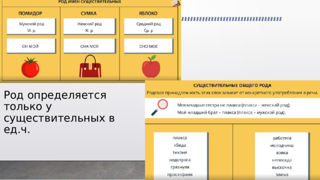 Род определяется только у существительных в ед.ч. 