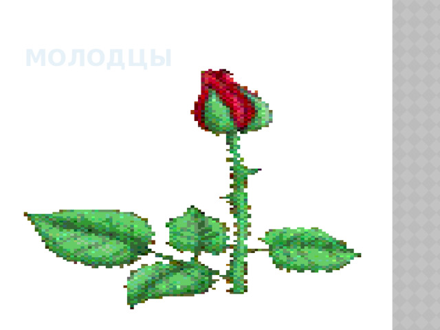 молодцы  