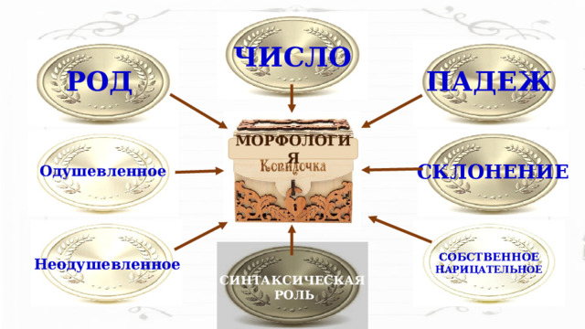 ЧИСЛО РОД ПАДЕЖ МОРФОЛОГИЯ СКЛОНЕНИЕ Одушевленное СОБСТВЕННОЕ НАРИЦАТЕЛЬНОЕ Неодушевленное СИНТАКСИЧЕСКАЯ  РОЛЬ 