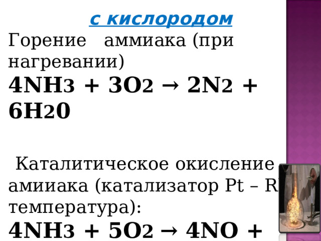с кислородом Горение аммиака (при нагревании) 4NH 3  + 3O 2  → 2N 2  + 6H 2 0    Каталитическое окисление амииака (катализатор Pt – Rh, температура): 4NH 3  + 5O 2  → 4NO + 6H 2 O 